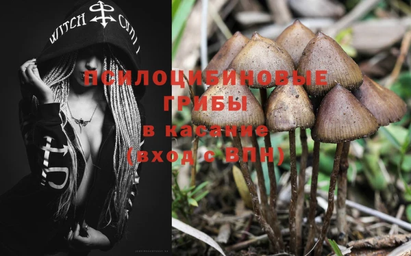 PSILOCYBIN Коряжма