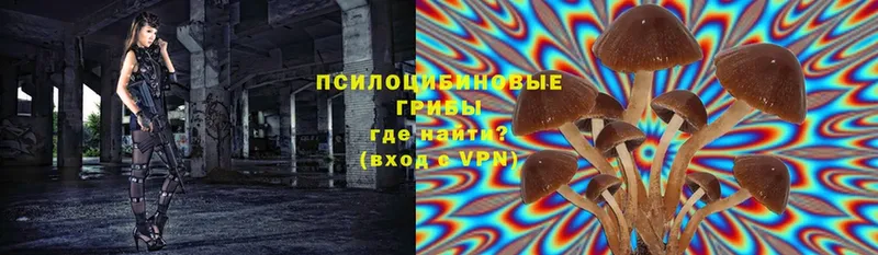 Галлюциногенные грибы мухоморы  наркошоп  Краснозаводск 